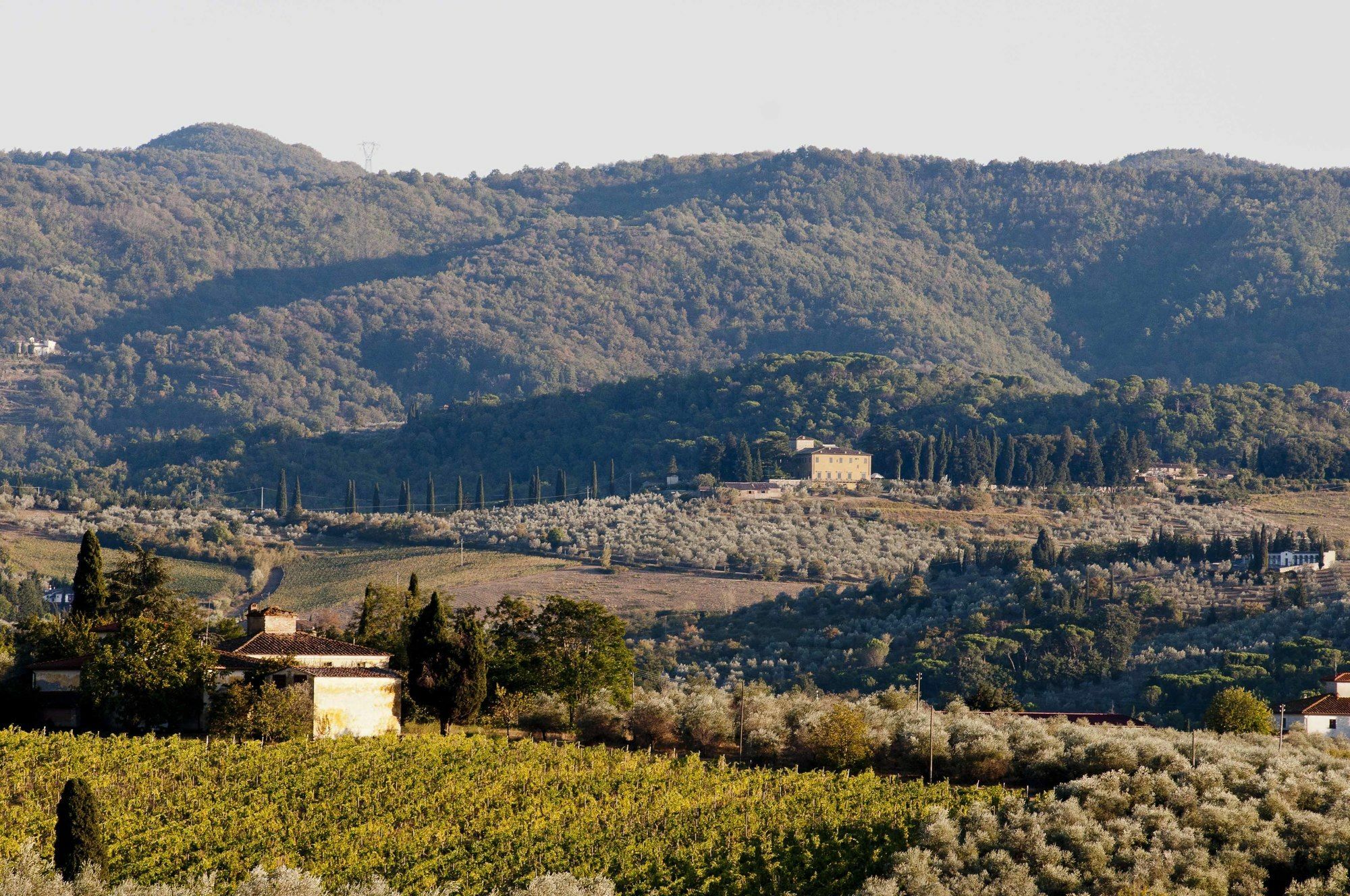 Villa Medicea Di Lilliano Grassina Extérieur photo